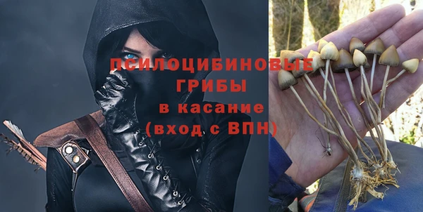 трава Верхнеуральск